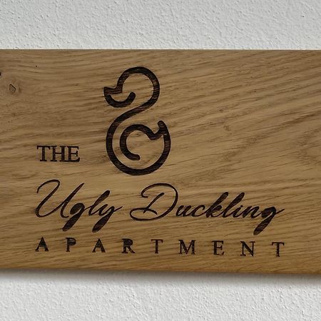 The Ugly Duckling Apartment Dormelletto Exterior foto